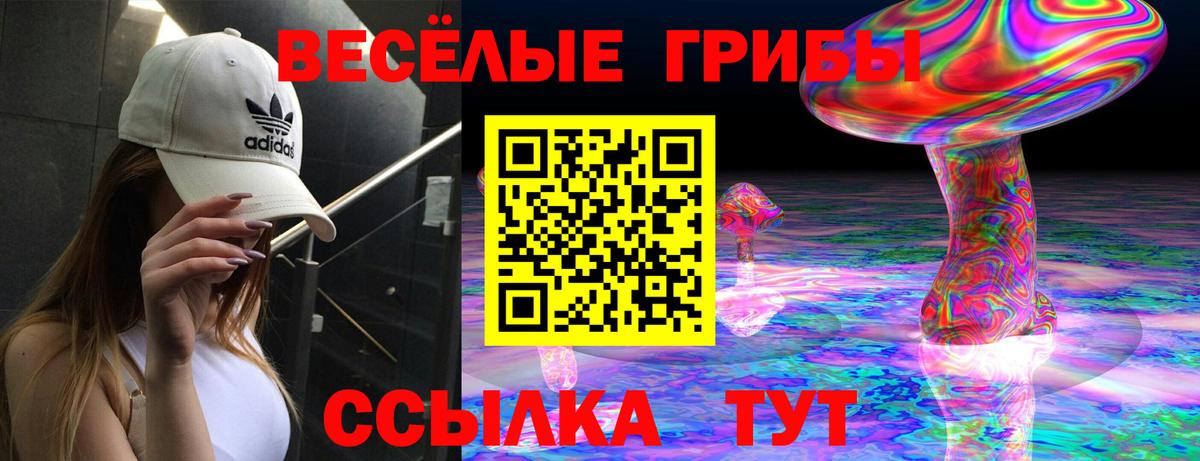 Галлюциногенные грибы Magic Shrooms  Галлюциногенные грибы мицелий  Осинники  Вход с VPN 
